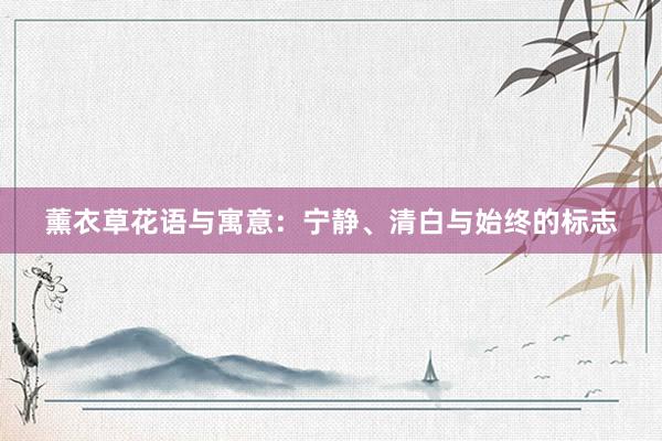 薰衣草花语与寓意：宁静、清白与始终的标志