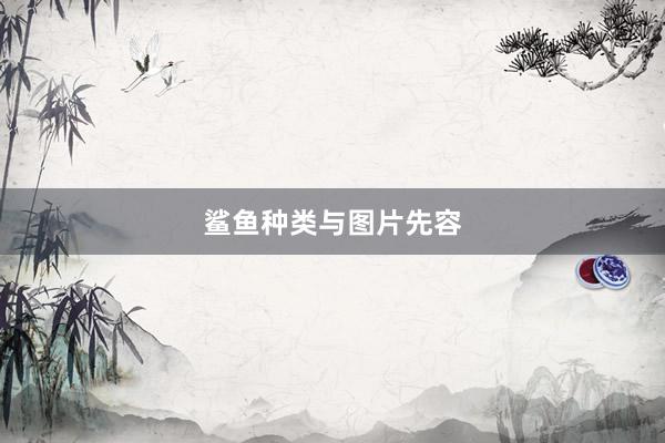 鲨鱼种类与图片先容