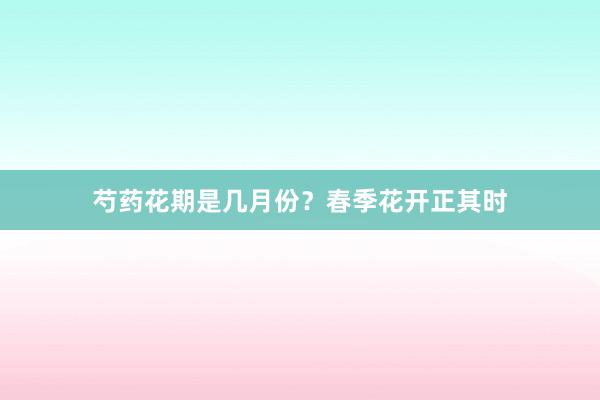 芍药花期是几月份？春季花开正其时