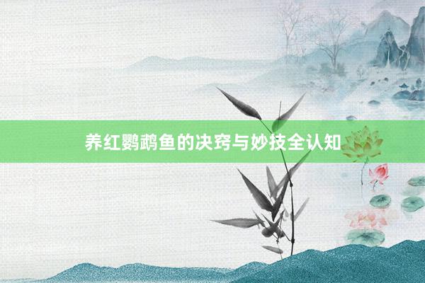 养红鹦鹉鱼的决窍与妙技全认知